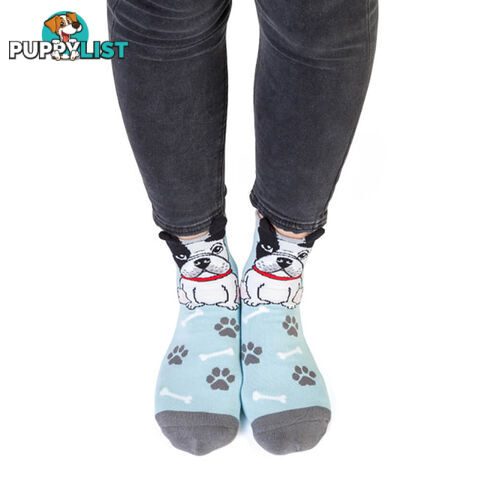 Feet Speak French Bulldog Socks - FSFBDS001 - 9318051132283