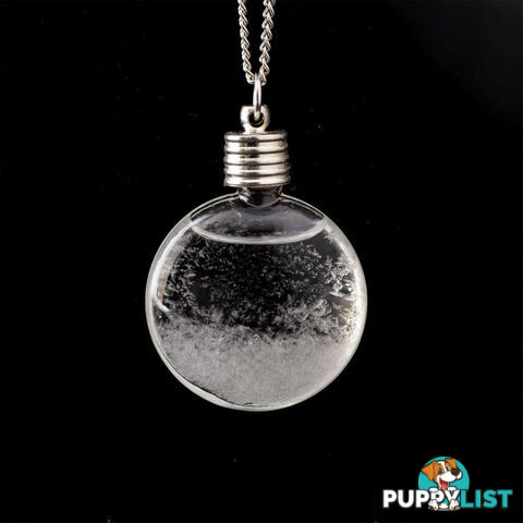 Storm Glass Necklace - SGNECK001 - 9341570101256