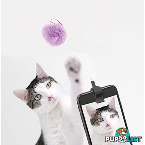 Kitty Phone Clip - KITPC01 - 612615097759