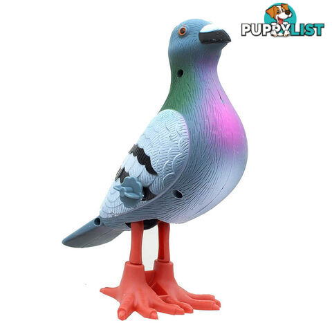 Wind Up Peppy Pigeon - WUPPIGEON01 - 739048128680