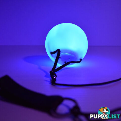 LED Poi Ball - LDP02