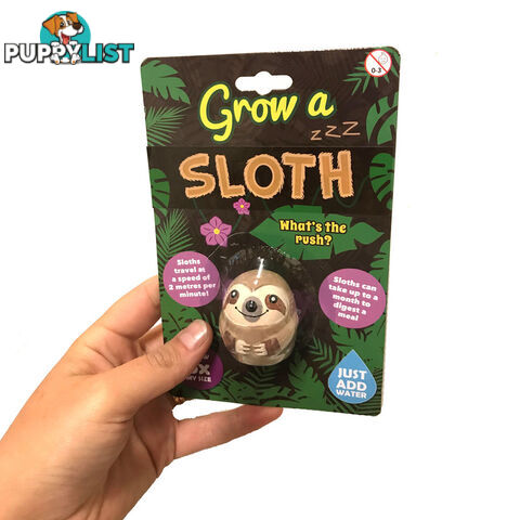 Grow a Sloth - GAS01 - 9318051126398