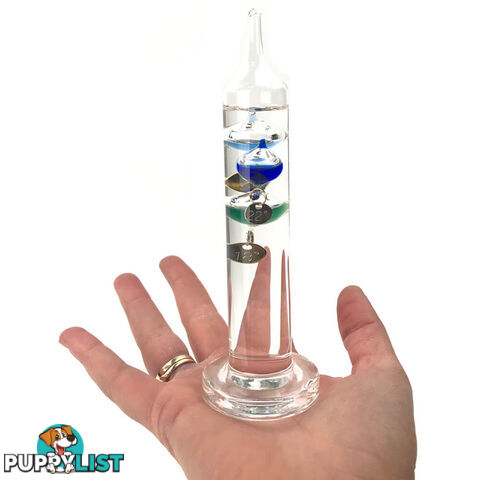 World's Smallest Galileo Thermometer - WSGALTHERM - 9318051138490