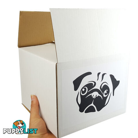 Pug Gift Box - PGG06