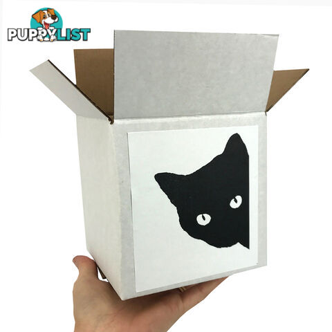 Cat Lover Gift Box - CTG01