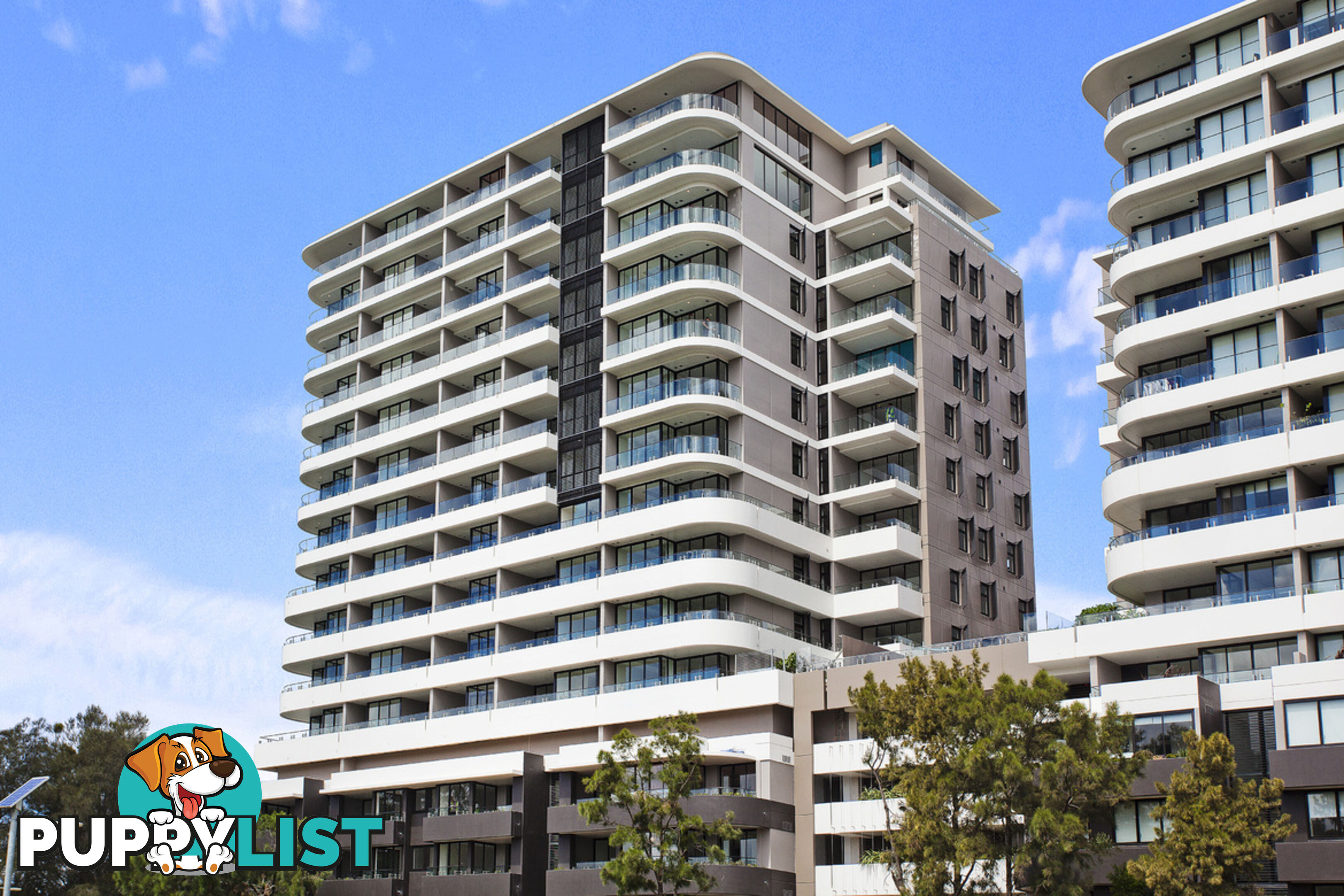 C604/24-26 Levey Street WOLLI CREEK NSW 2205