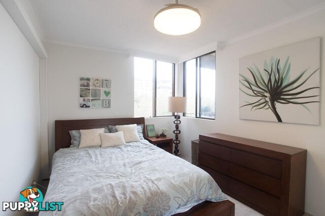 31/11-33 Maddison Street REDFERN NSW 2016