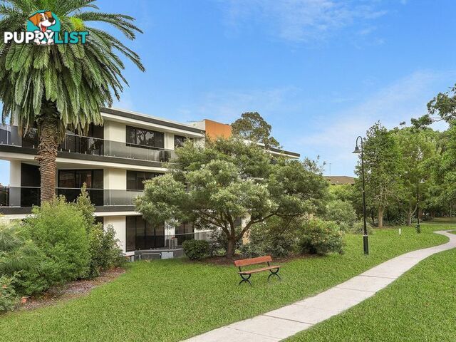 3/10A Kynaston Avenue RANDWICK NSW 2031