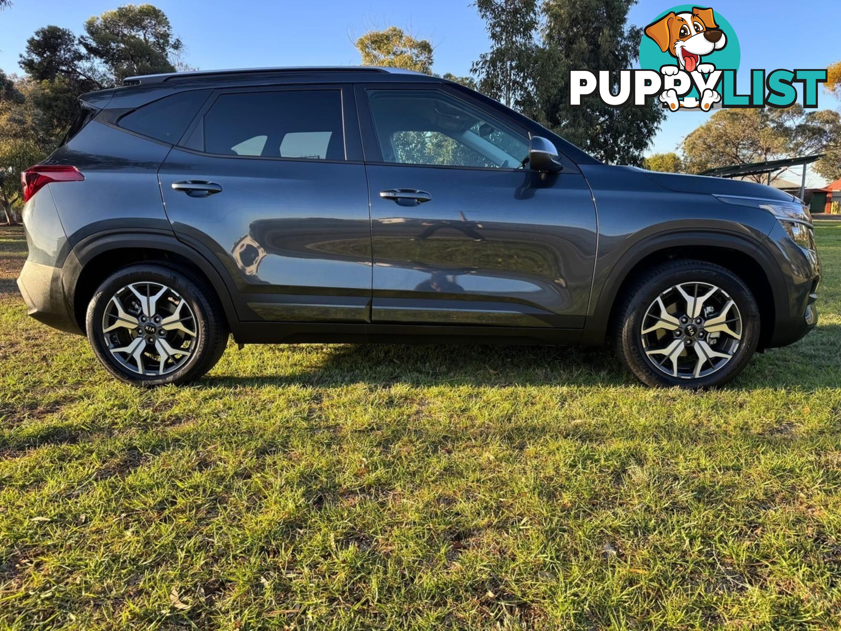 2020 KIA SELTOS SPORT (FWD) MY20 WAGON