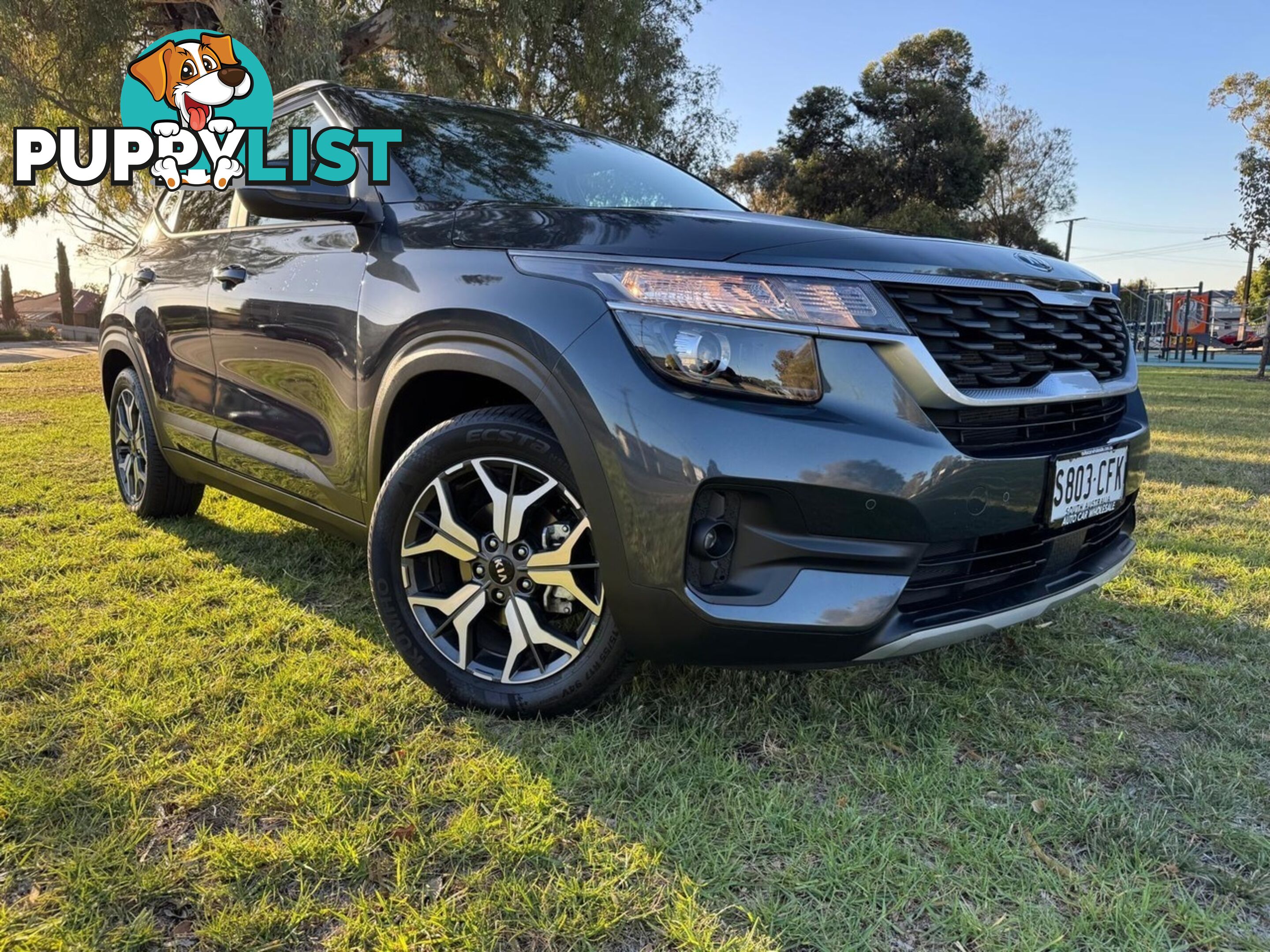 2020 KIA SELTOS SPORT (FWD) MY20 WAGON