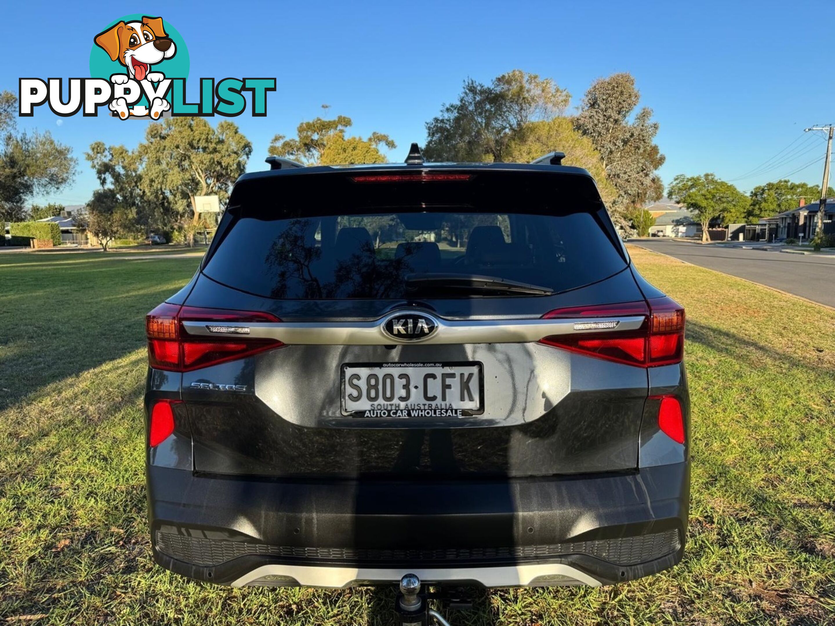 2020 KIA SELTOS SPORT (FWD) MY20 WAGON