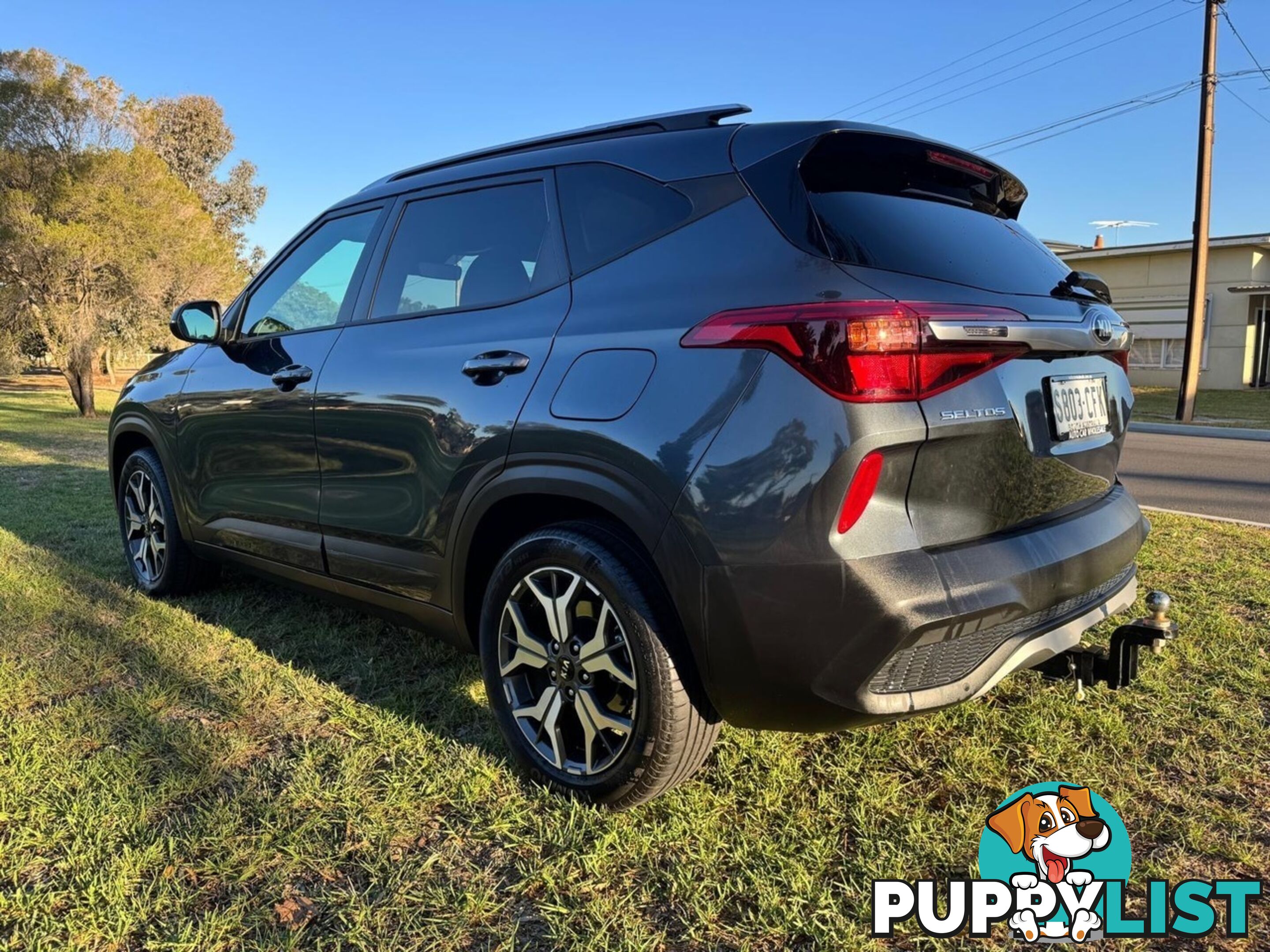 2020 KIA SELTOS SPORT (FWD) MY20 WAGON