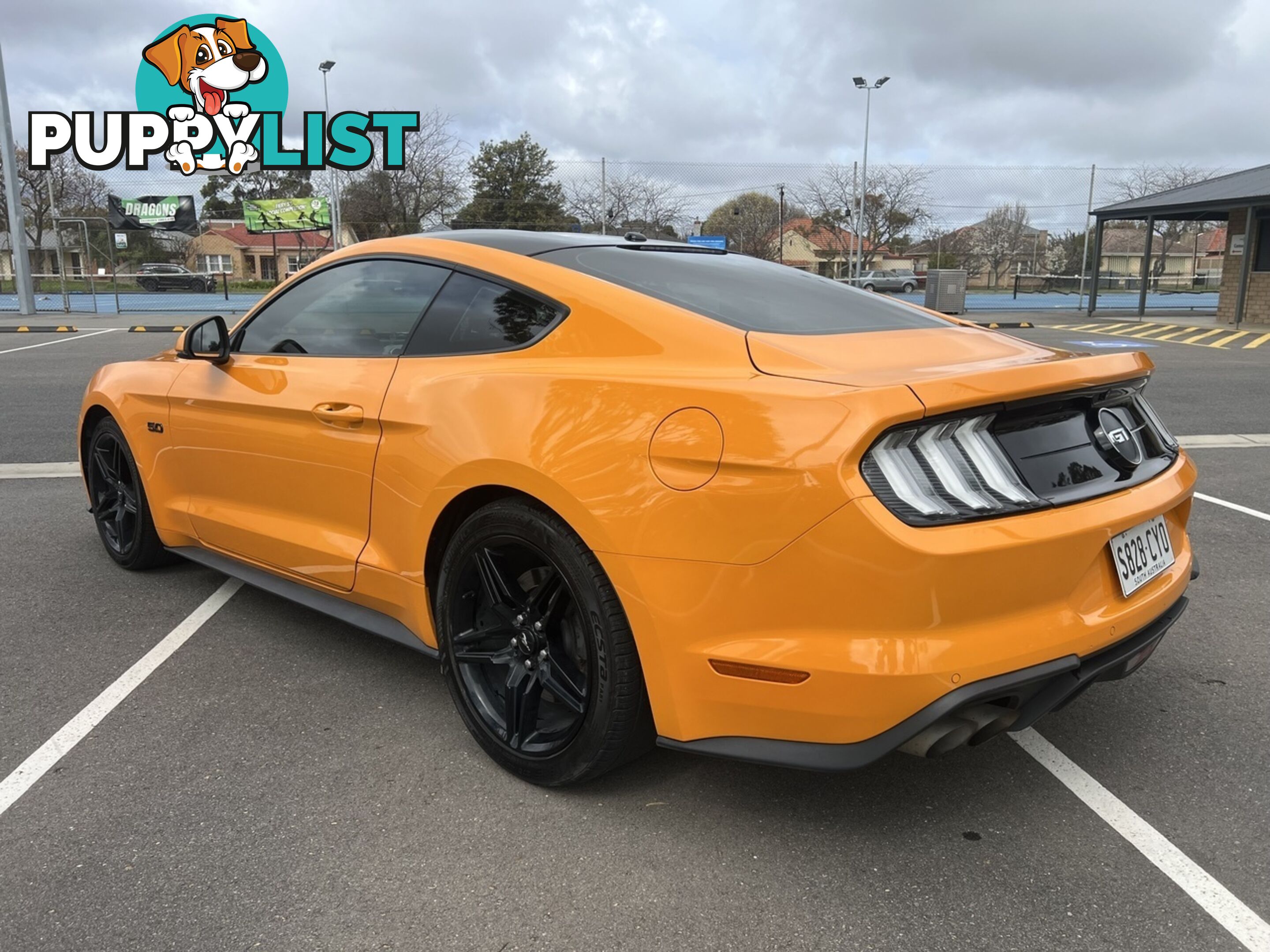 2018 FORD MUSTANG FASTBACK GT 5.0 V8 FN COUPE