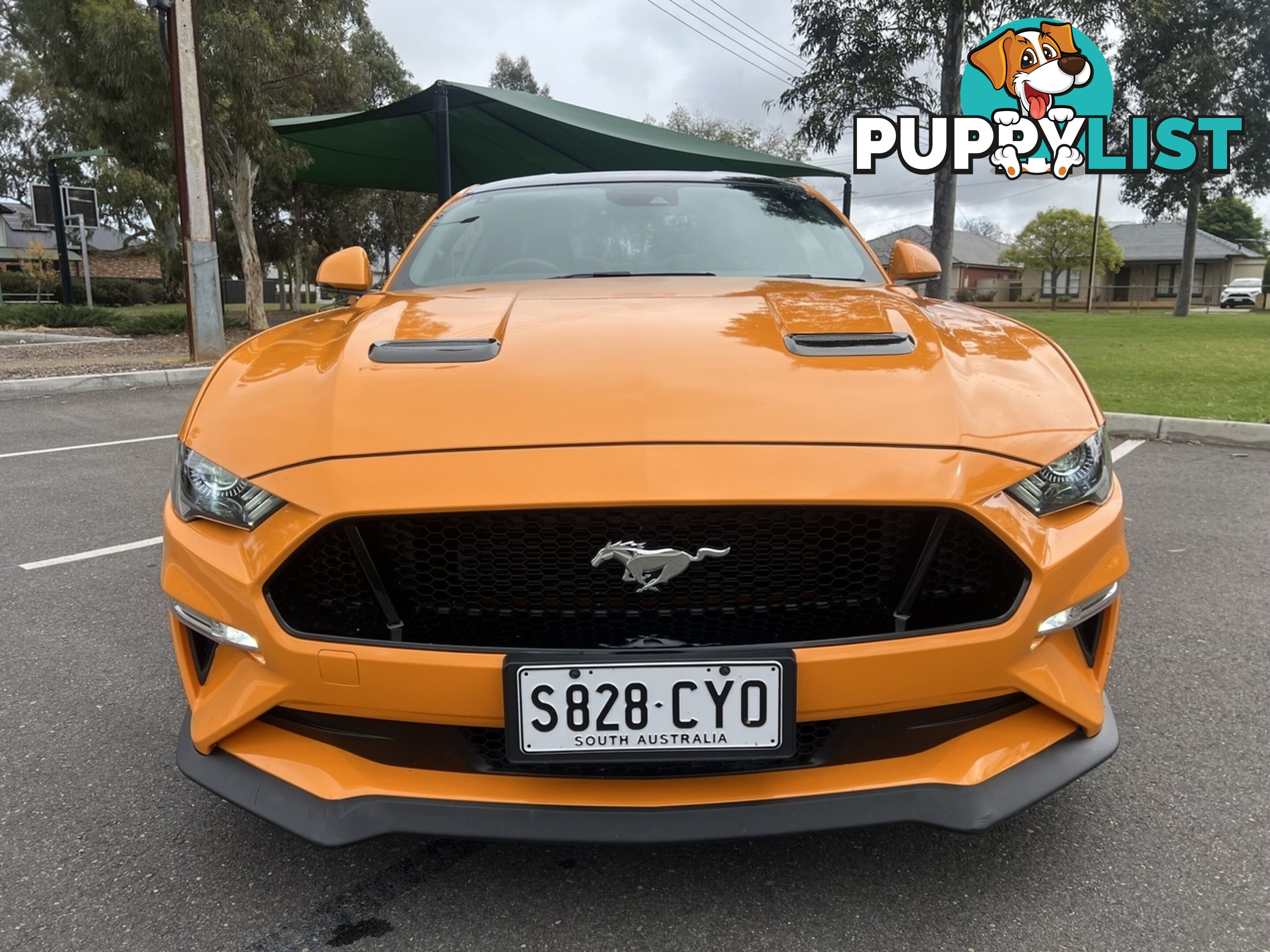 2018 FORD MUSTANG FASTBACK GT 5.0 V8 FN COUPE