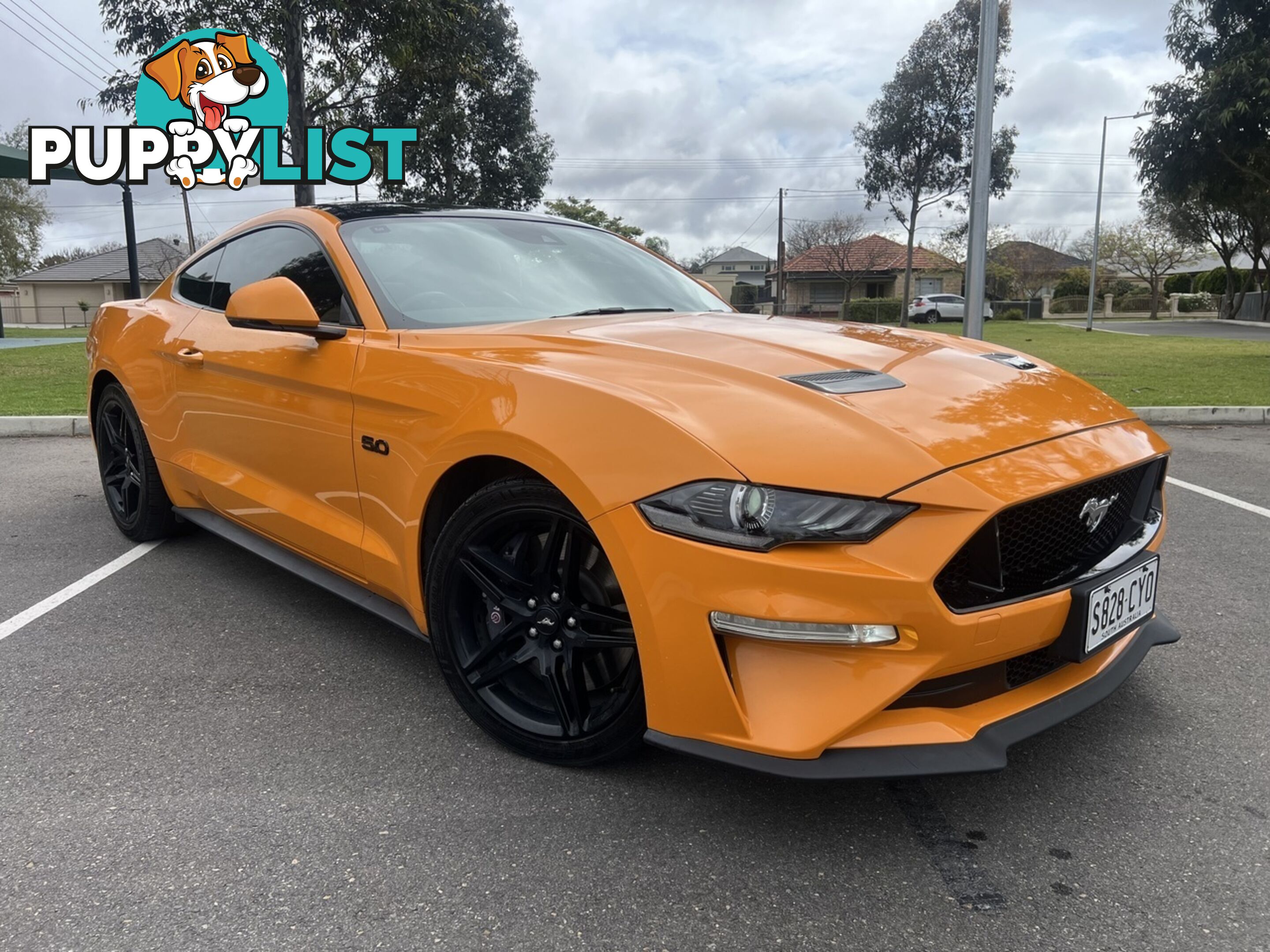 2018 FORD MUSTANG FASTBACK GT 5.0 V8 FN COUPE