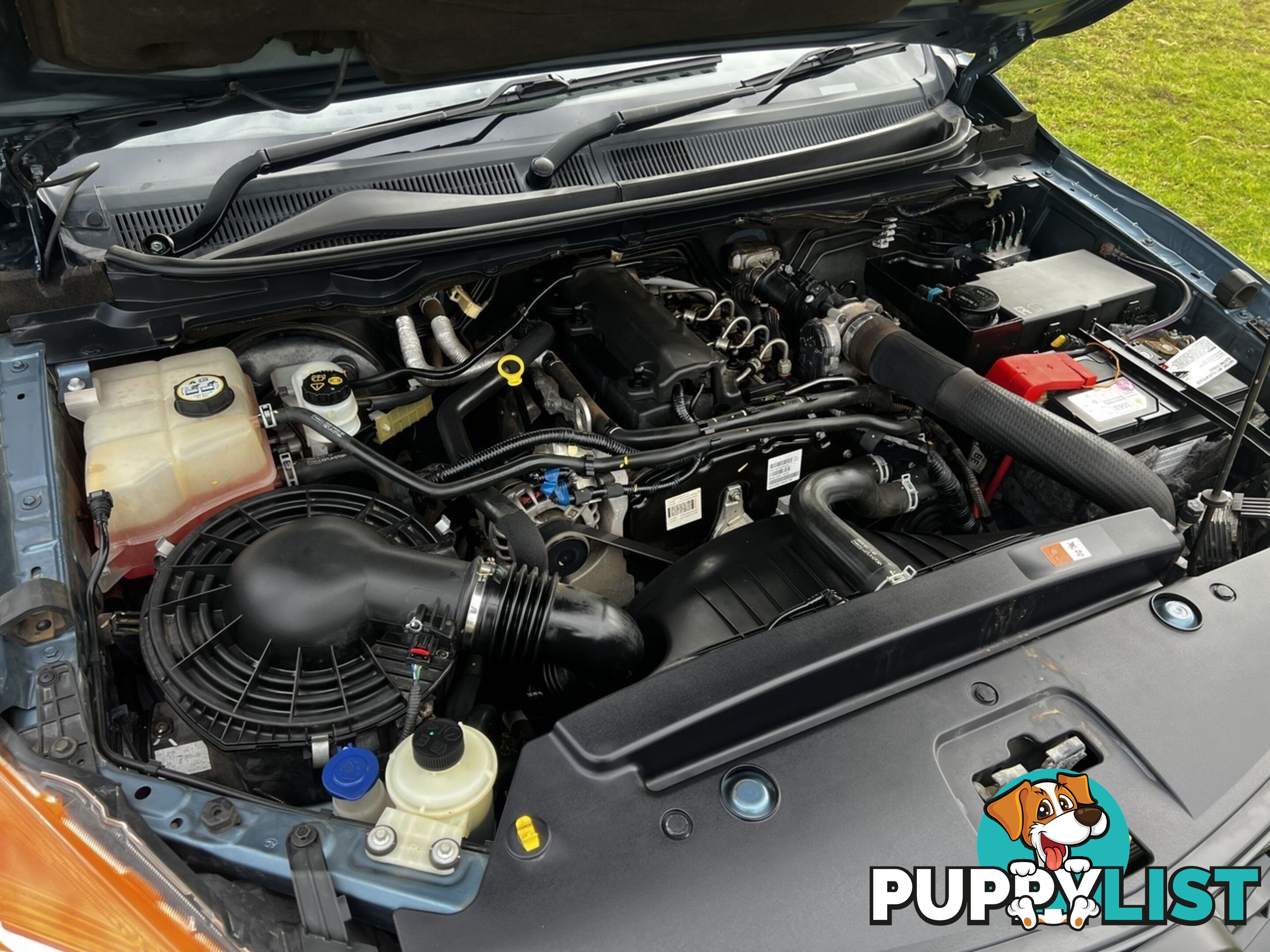 2013 MAZDA BT-50 XT (4X2)  CAB CHASSIS