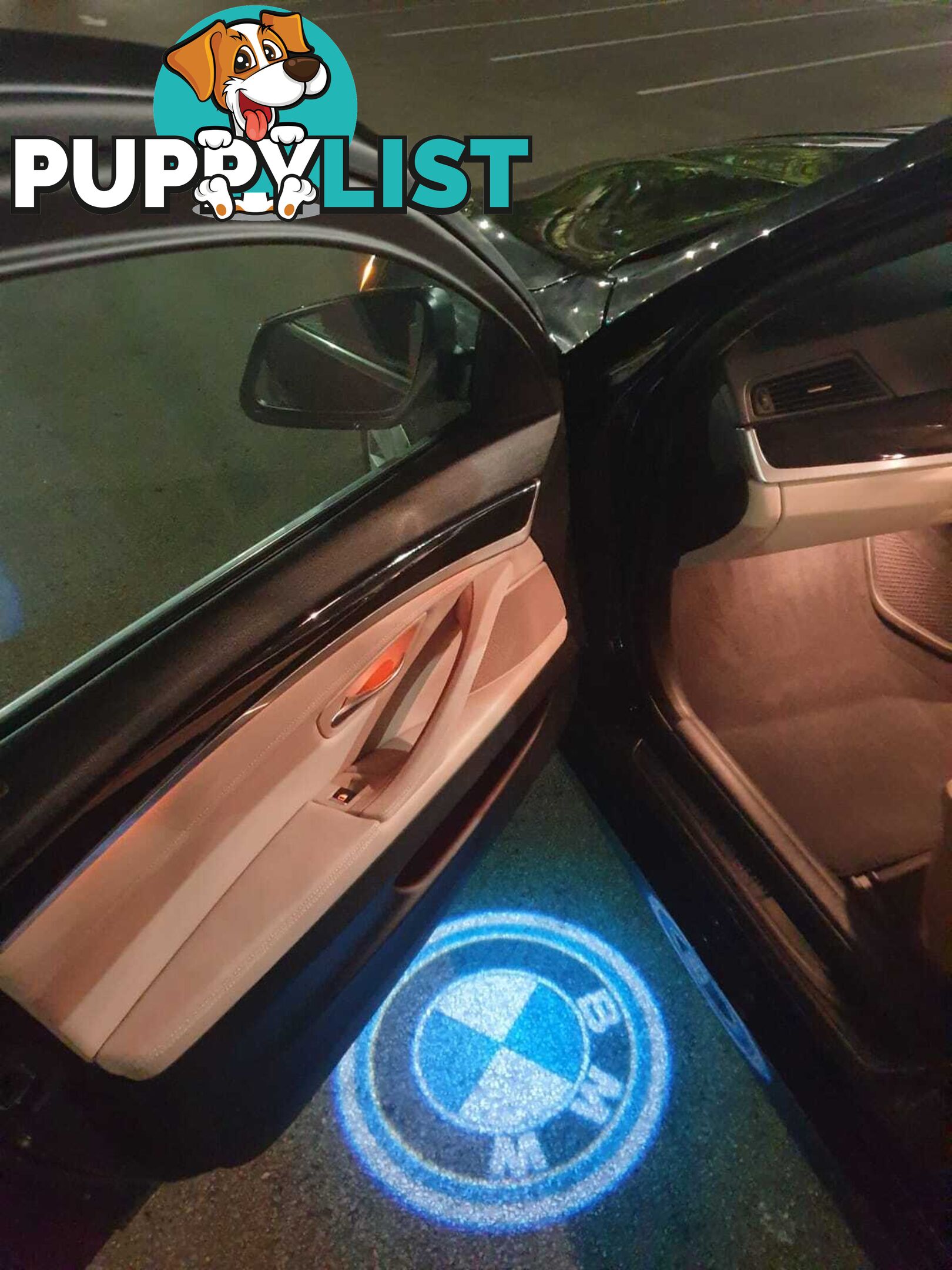 2010 BMW Series 5 28i Sedan Automatic