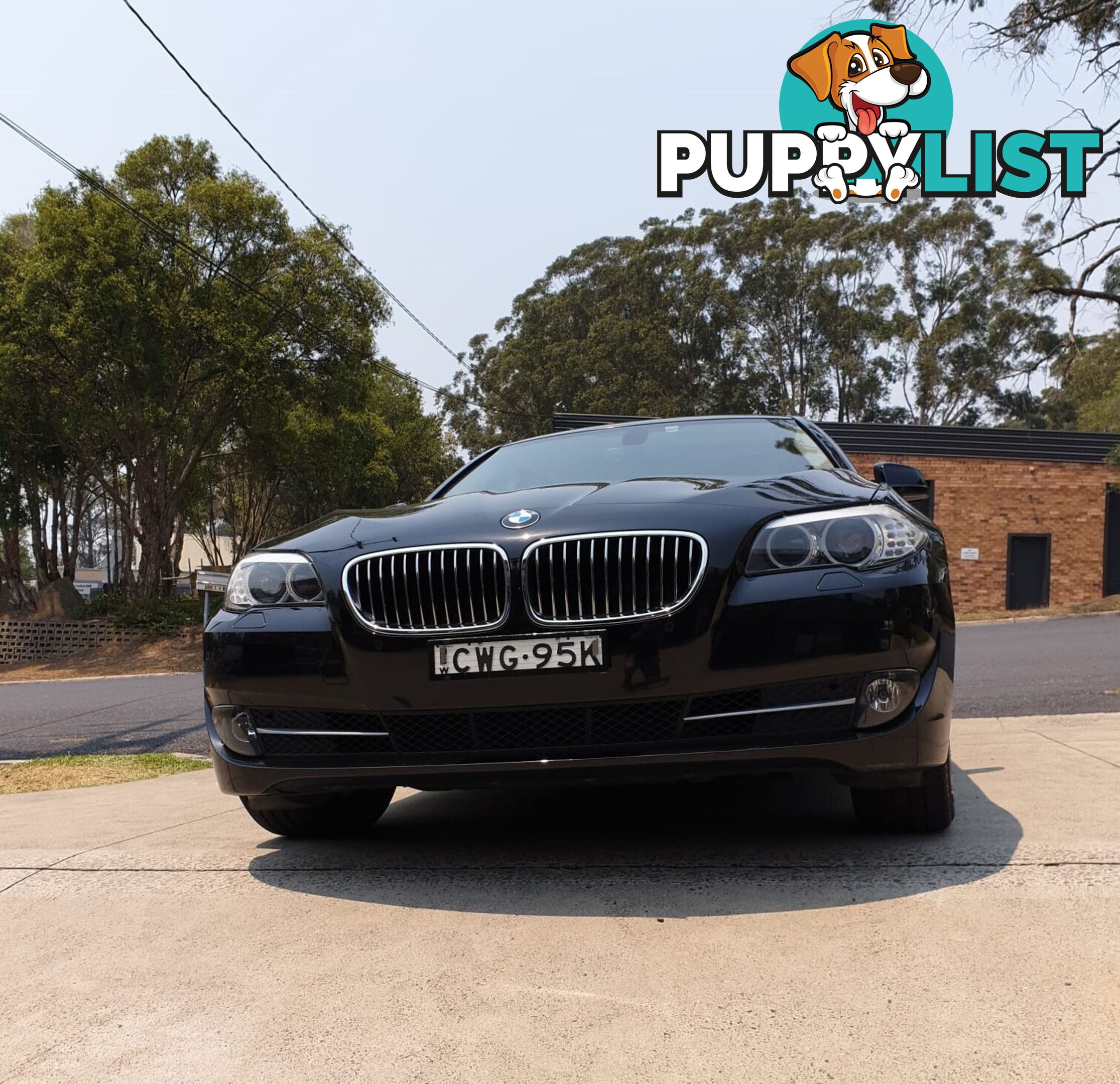 2010 BMW Series 5 28i Sedan Automatic