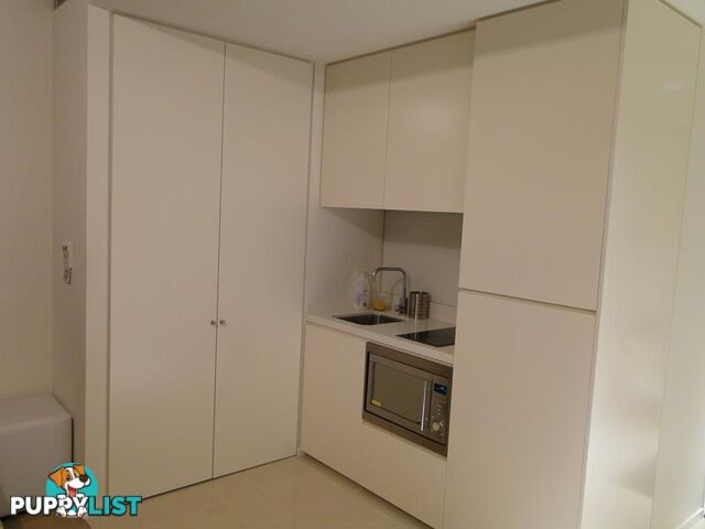 Unit E2113 3 Carlton Street Chippendale NSW 2008