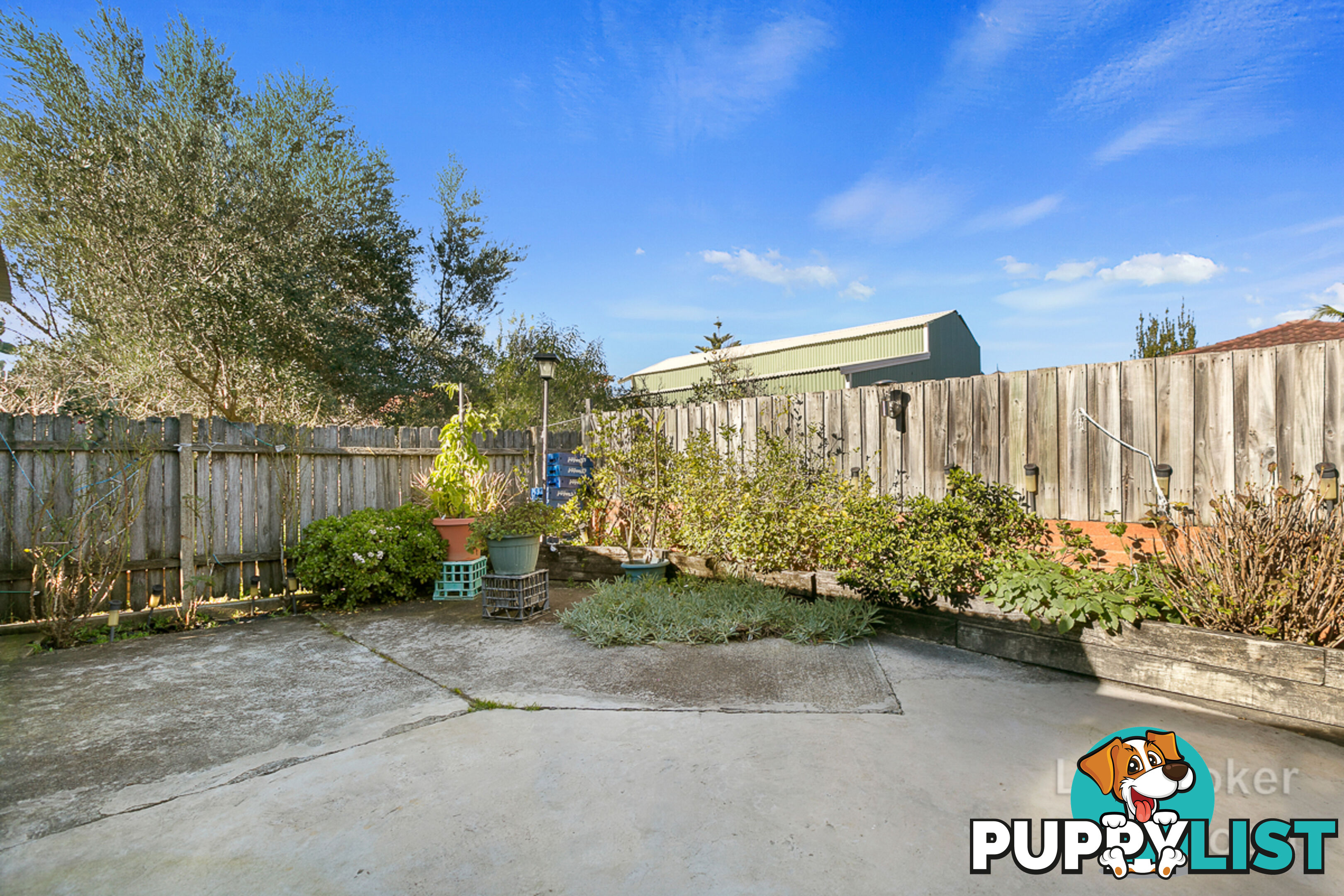 168 Canterbury Road CANTERBURY NSW 2193