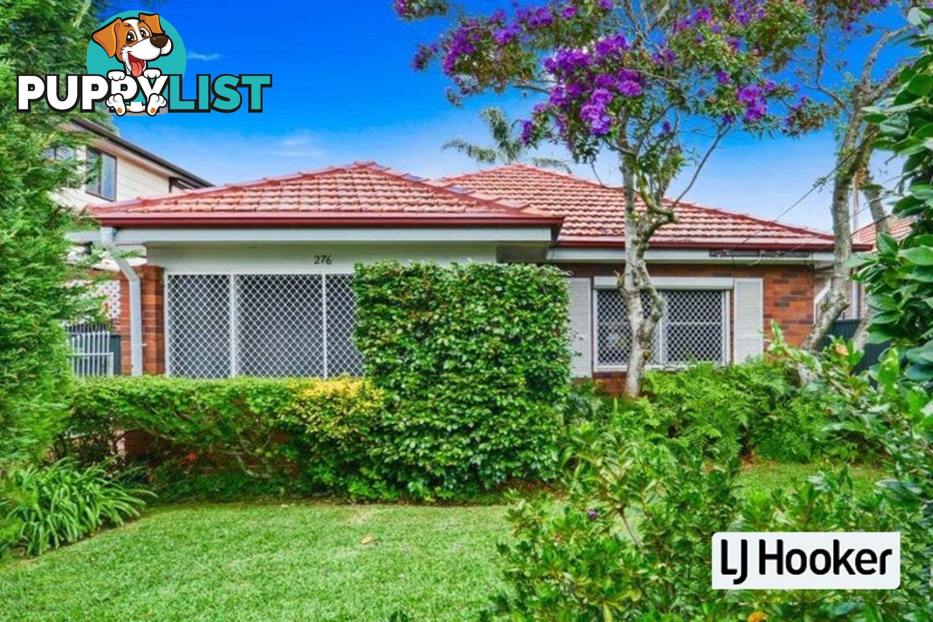 276 William Street KINGSGROVE NSW 2208