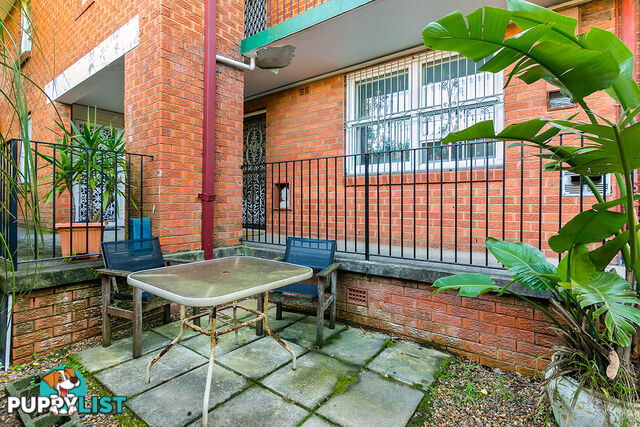 7/45 Harrington Street ENMORE NSW 2042