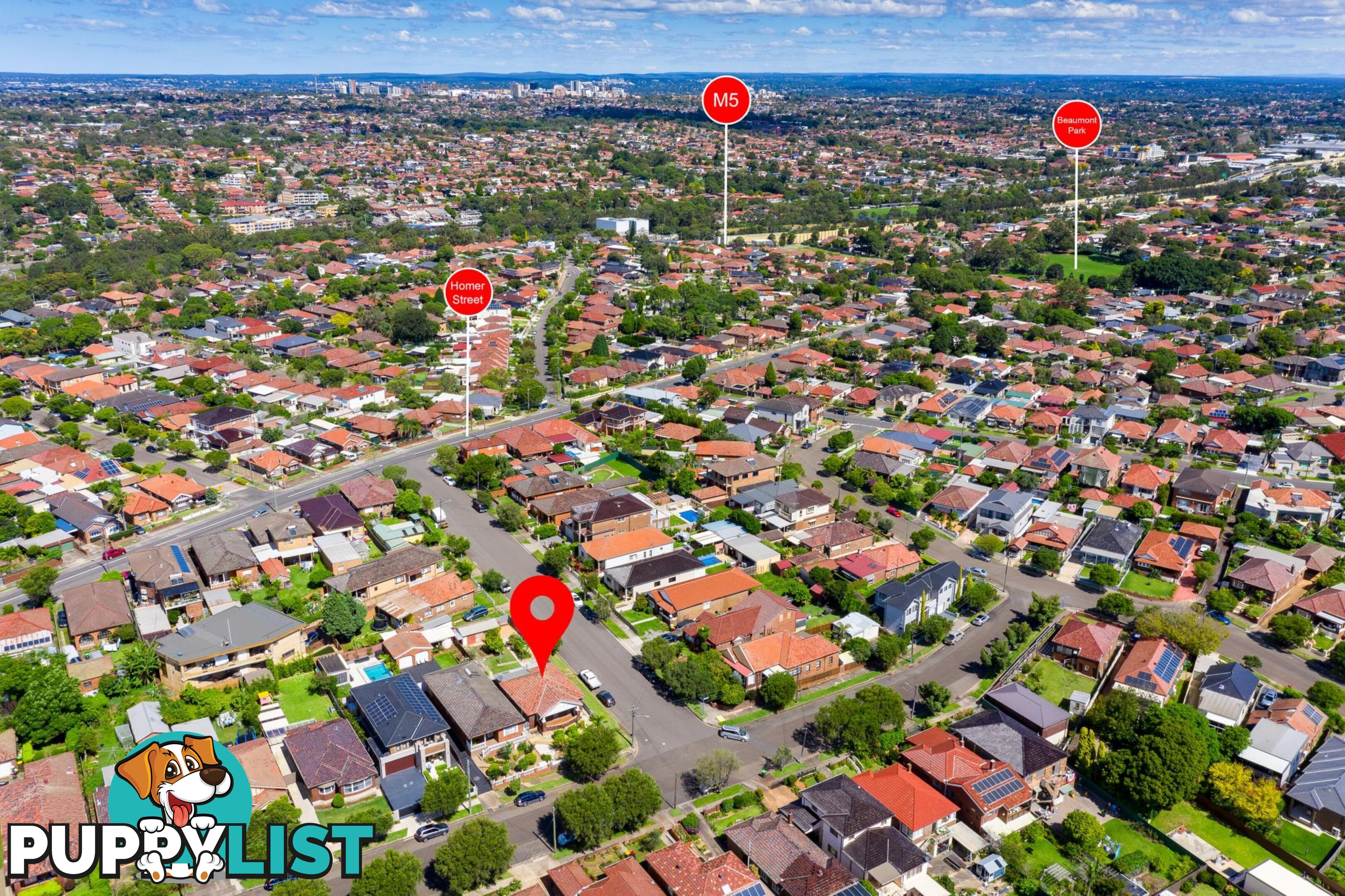 20 Gretchen Avenue EARLWOOD NSW 2206