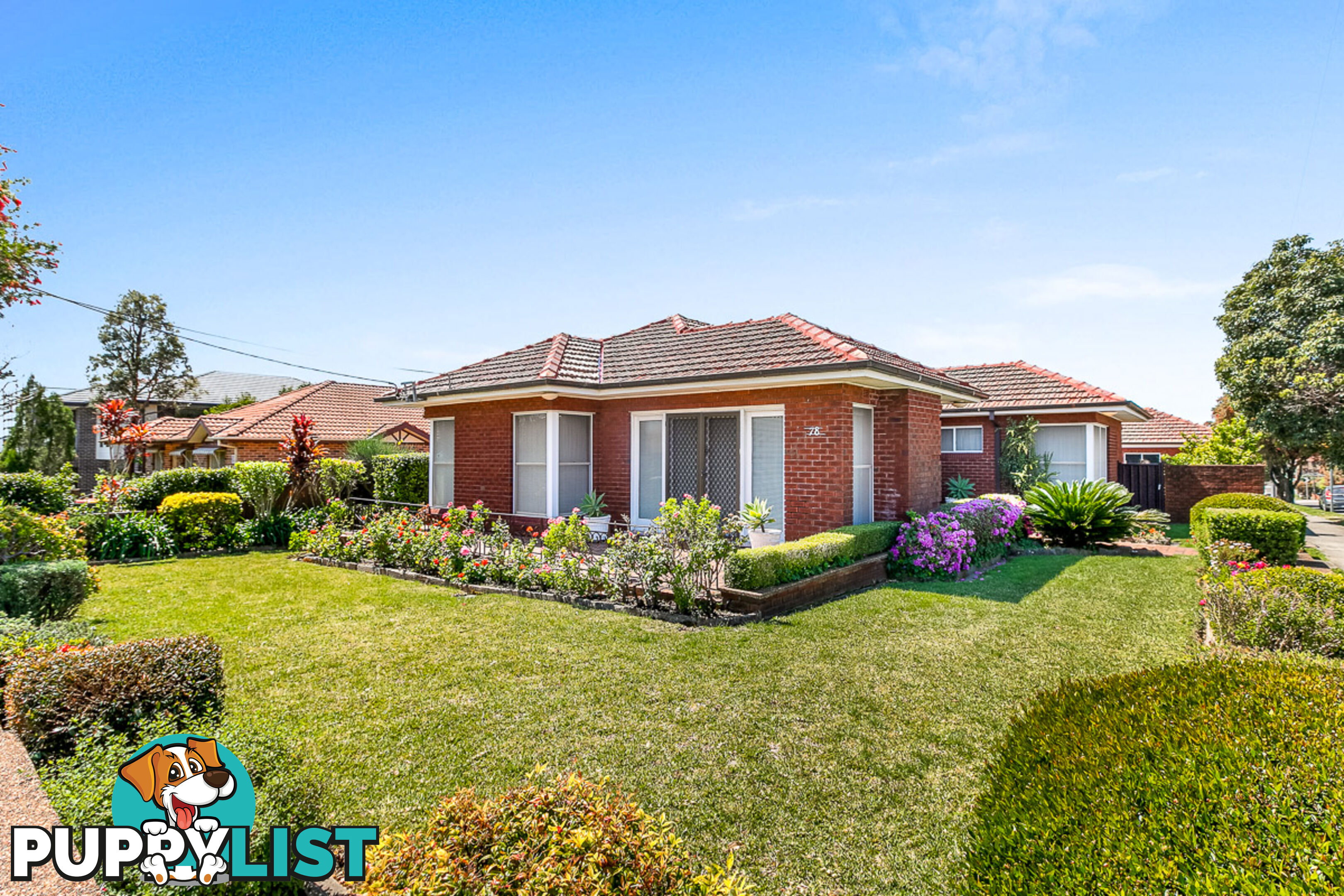 78 Wolli Street KINGSGROVE NSW 2208