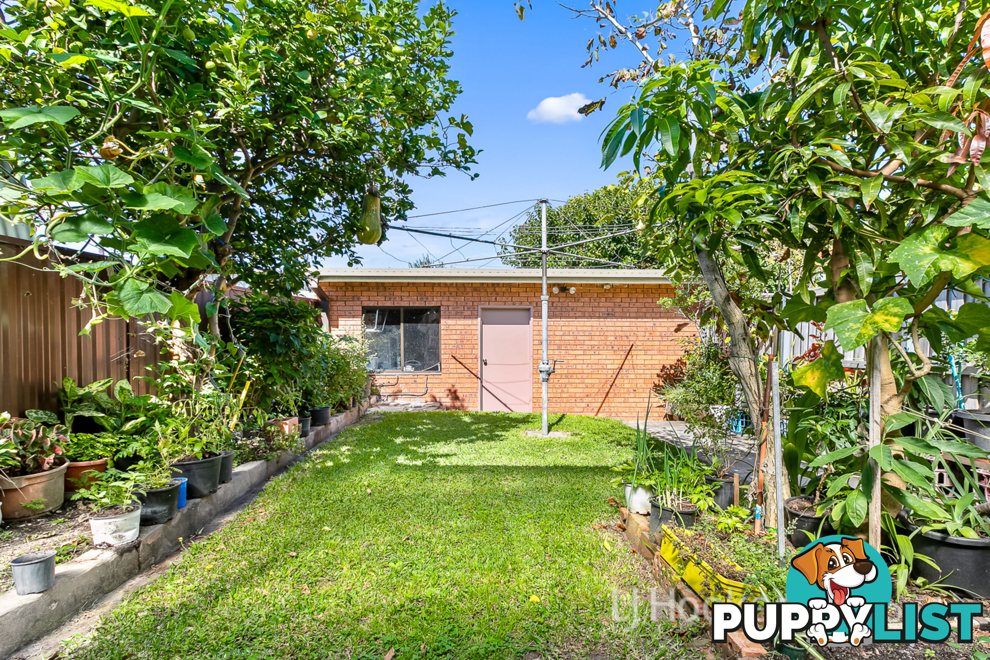 29 Grove Street MARRICKVILLE NSW 2204