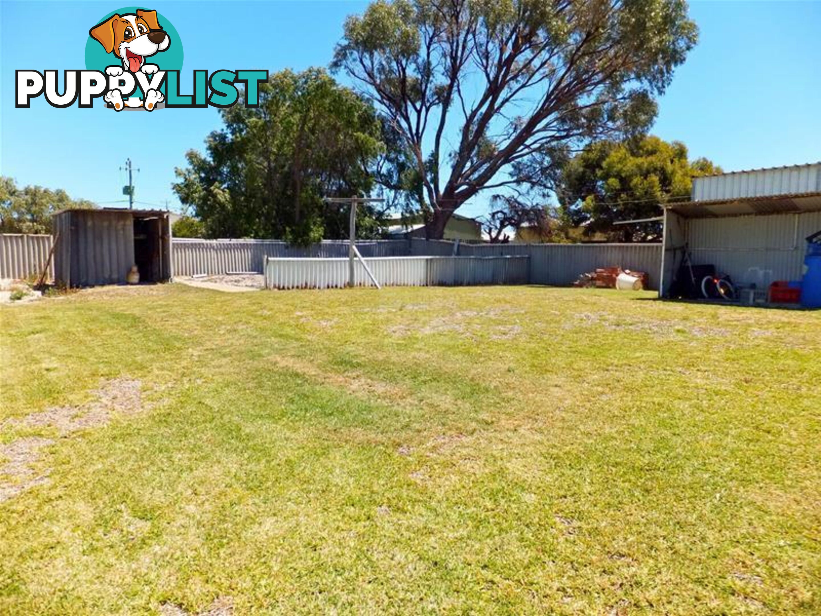 27 Bower Street Jurien Bay WA 6516