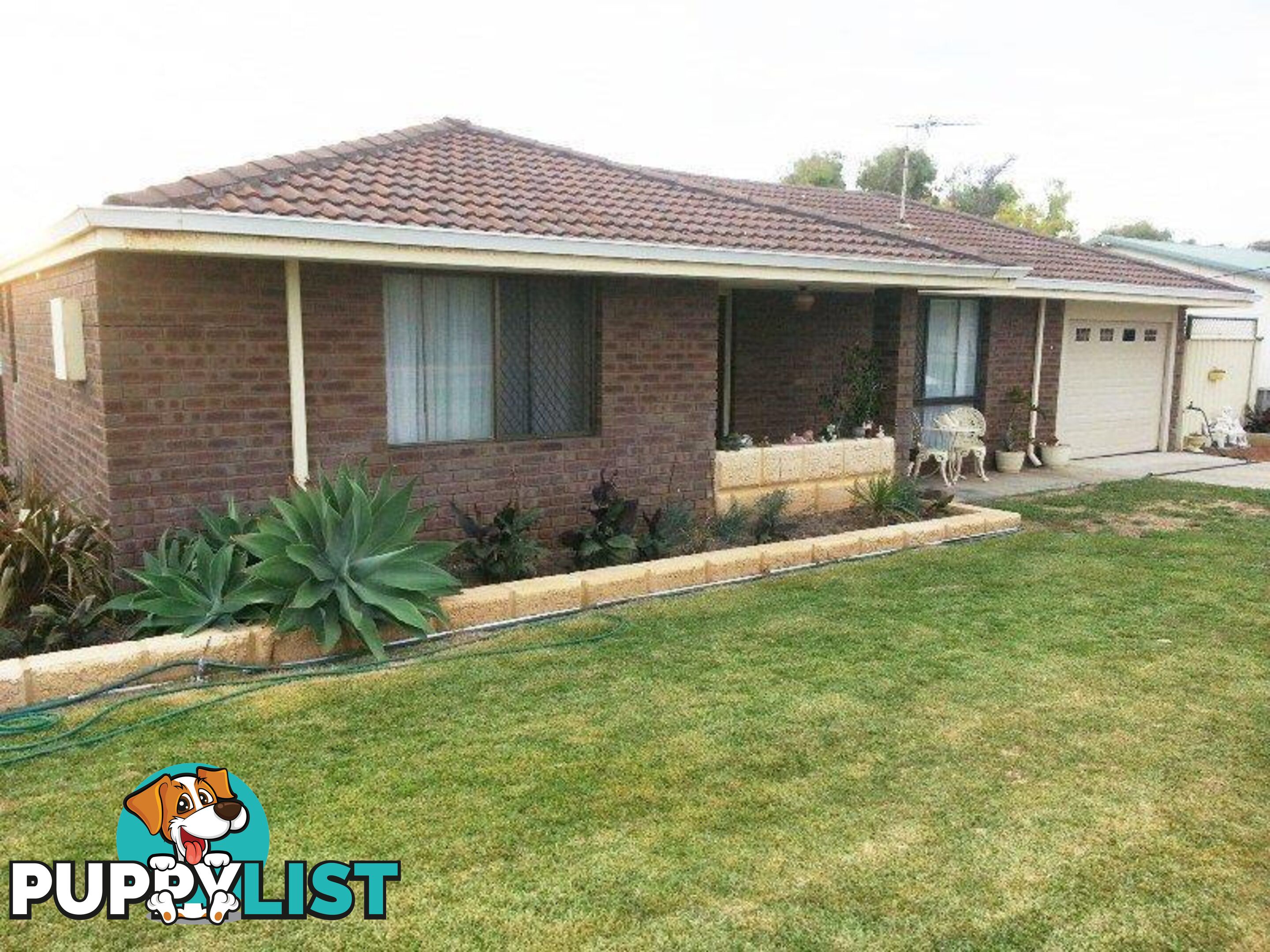 6 MAJORCA Street Cervantes WA 6511