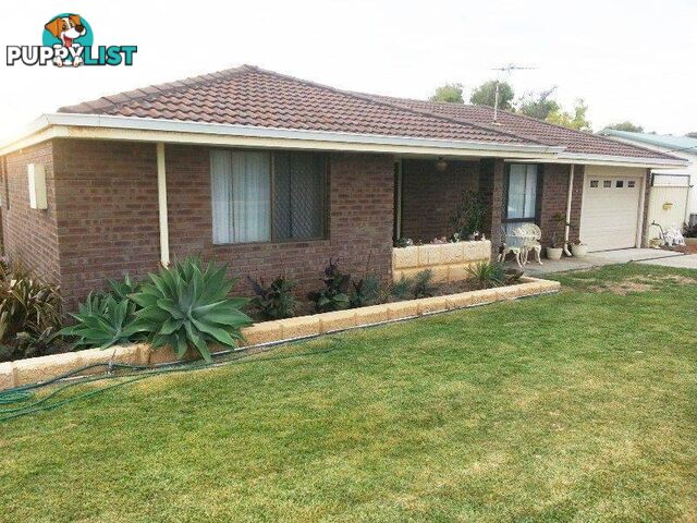 6 MAJORCA Street Cervantes WA 6511