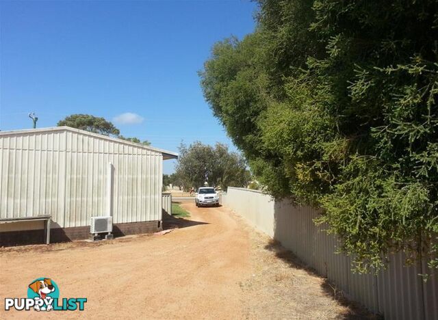 19 HASTING Street Jurien Bay WA 6516