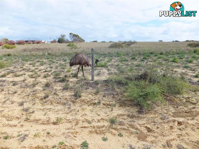 L237/ Zendora Road Jurien Bay WA 6516