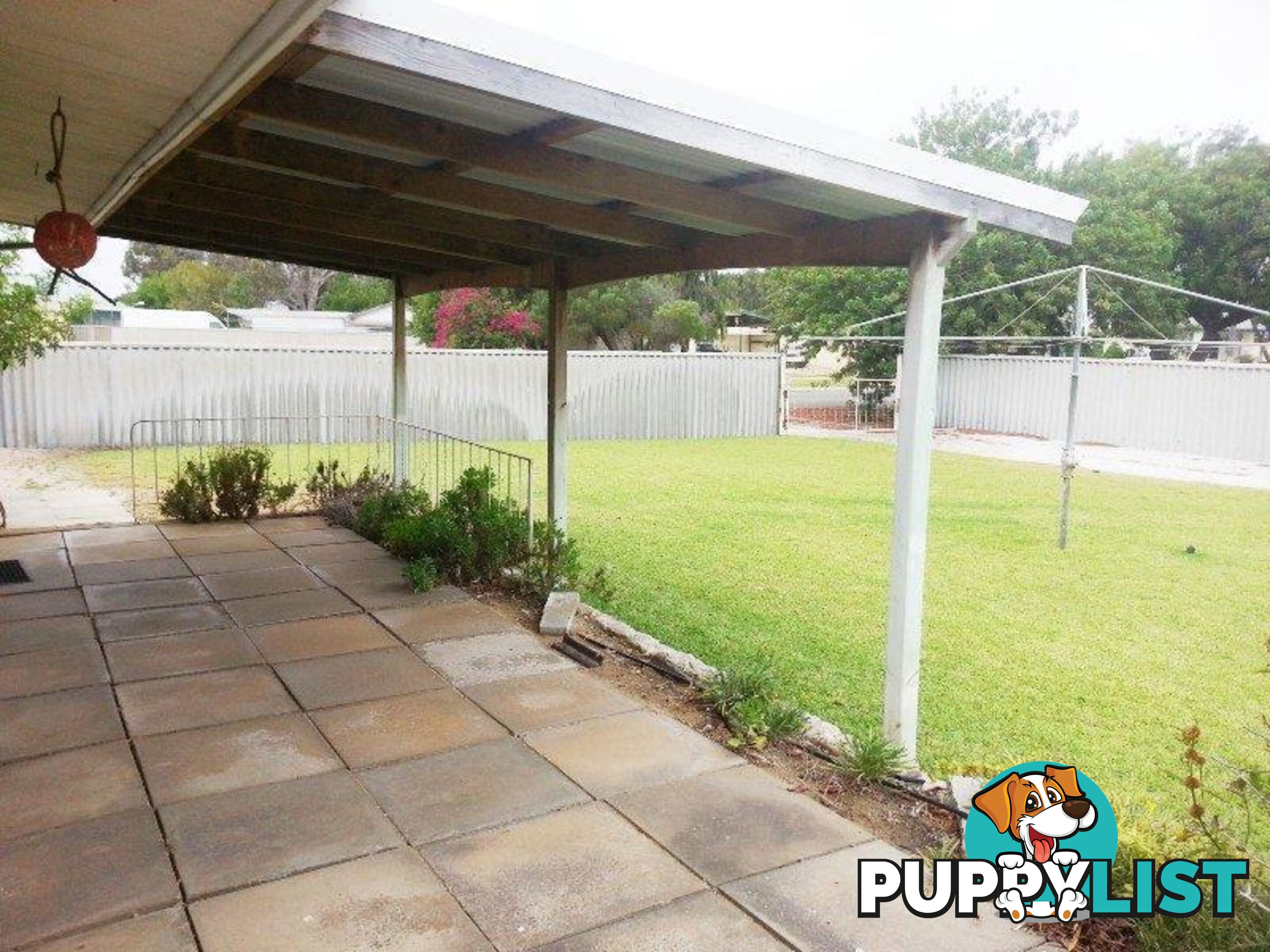 9 HAMERSLEY Street Jurien Bay WA 6516