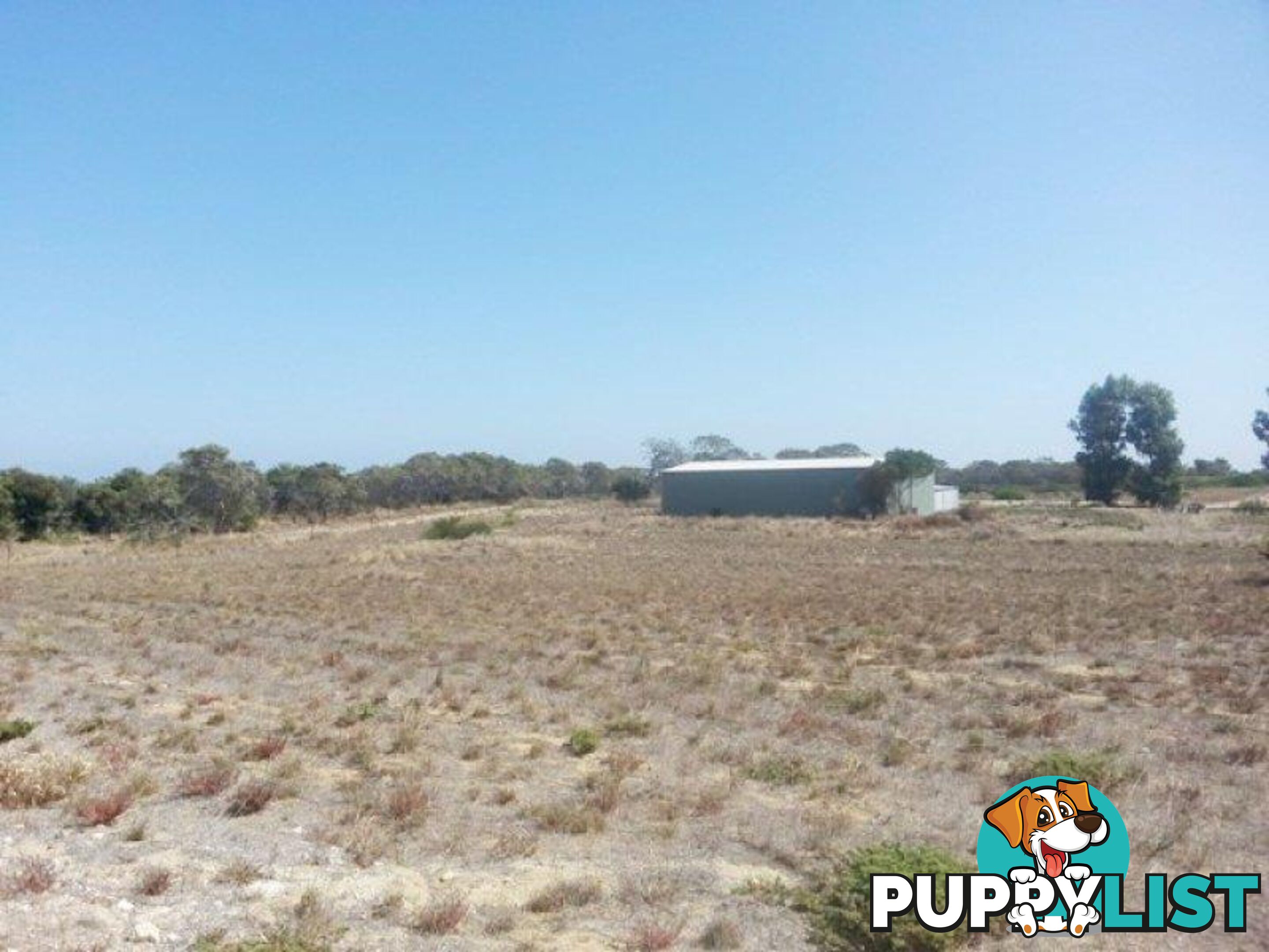 Lot 81 CAMBEWARRA Drive Jurien Bay WA 6516