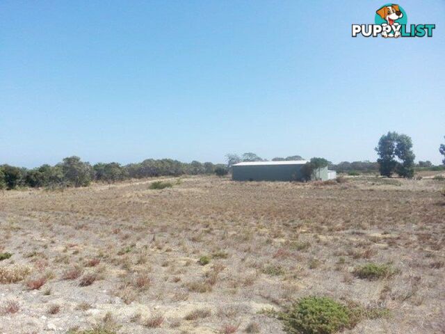 Lot 81 CAMBEWARRA Drive Jurien Bay WA 6516