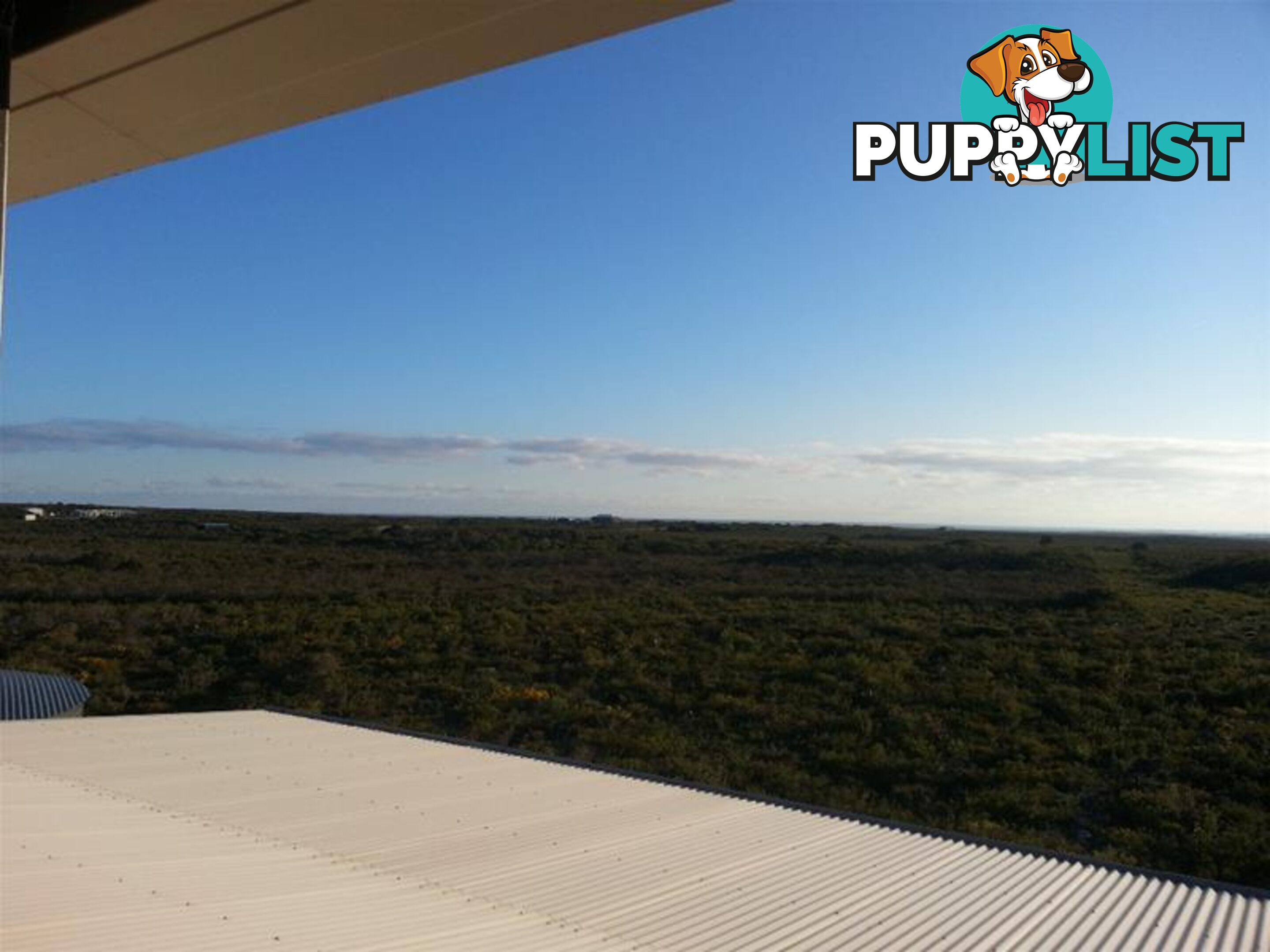 225 River Loop Jurien Bay WA 6516