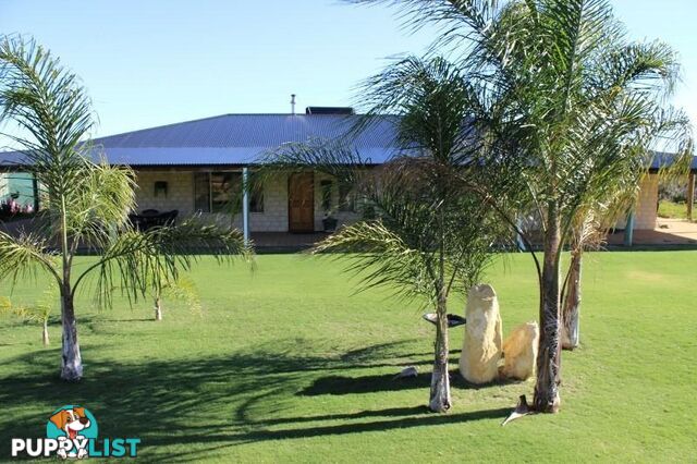 19 Wren Way Jurien Bay WA 6516