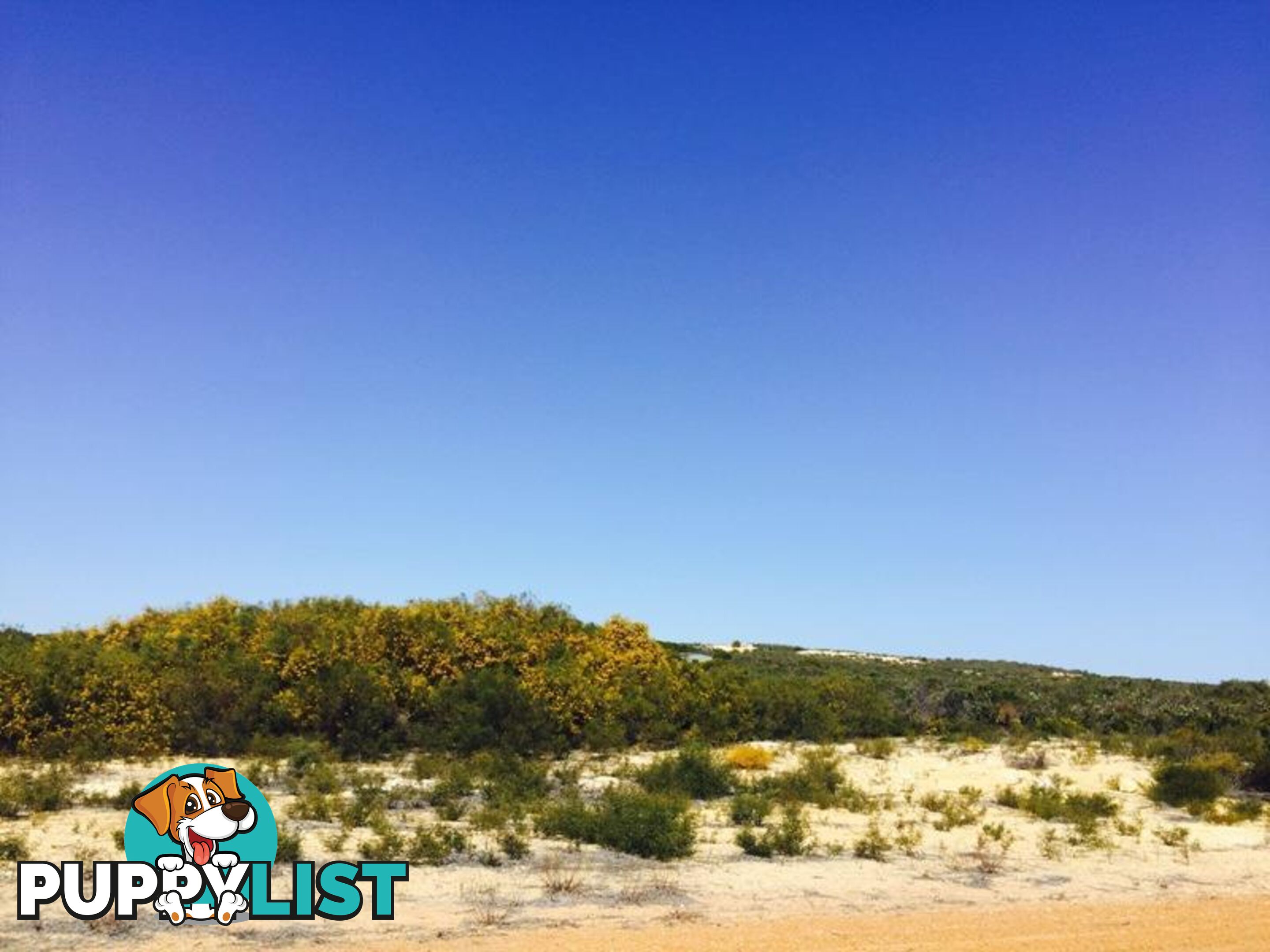 Lot 179 Jurien Bay Vista Jurien Bay WA 6516