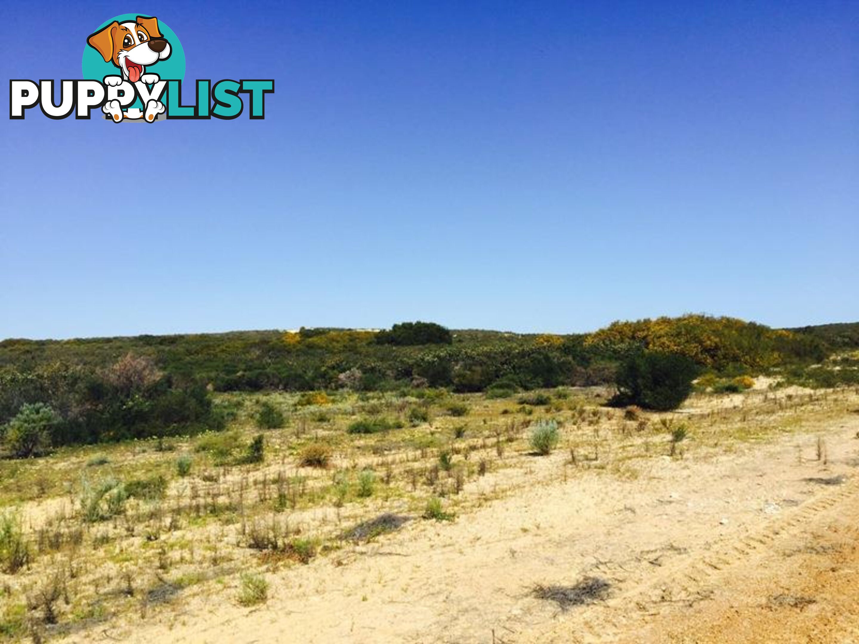 Lot 179 Jurien Bay Vista Jurien Bay WA 6516