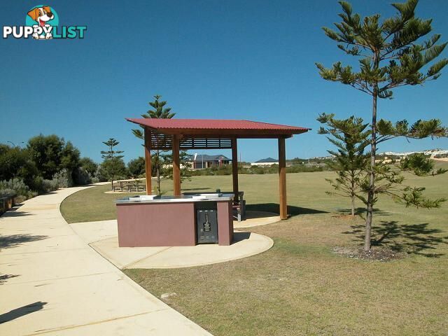 7 BELLS BLVD (CNR ADRIANA PDE) Jurien Bay WA 6516