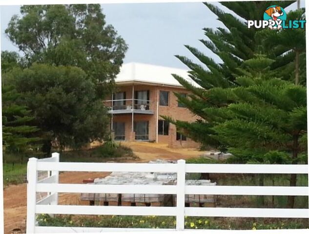 79 Flying Foam Way Jurien Bay WA 6516