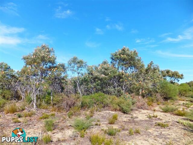 162 Jurien Bay Vista Jurien Bay WA 6516