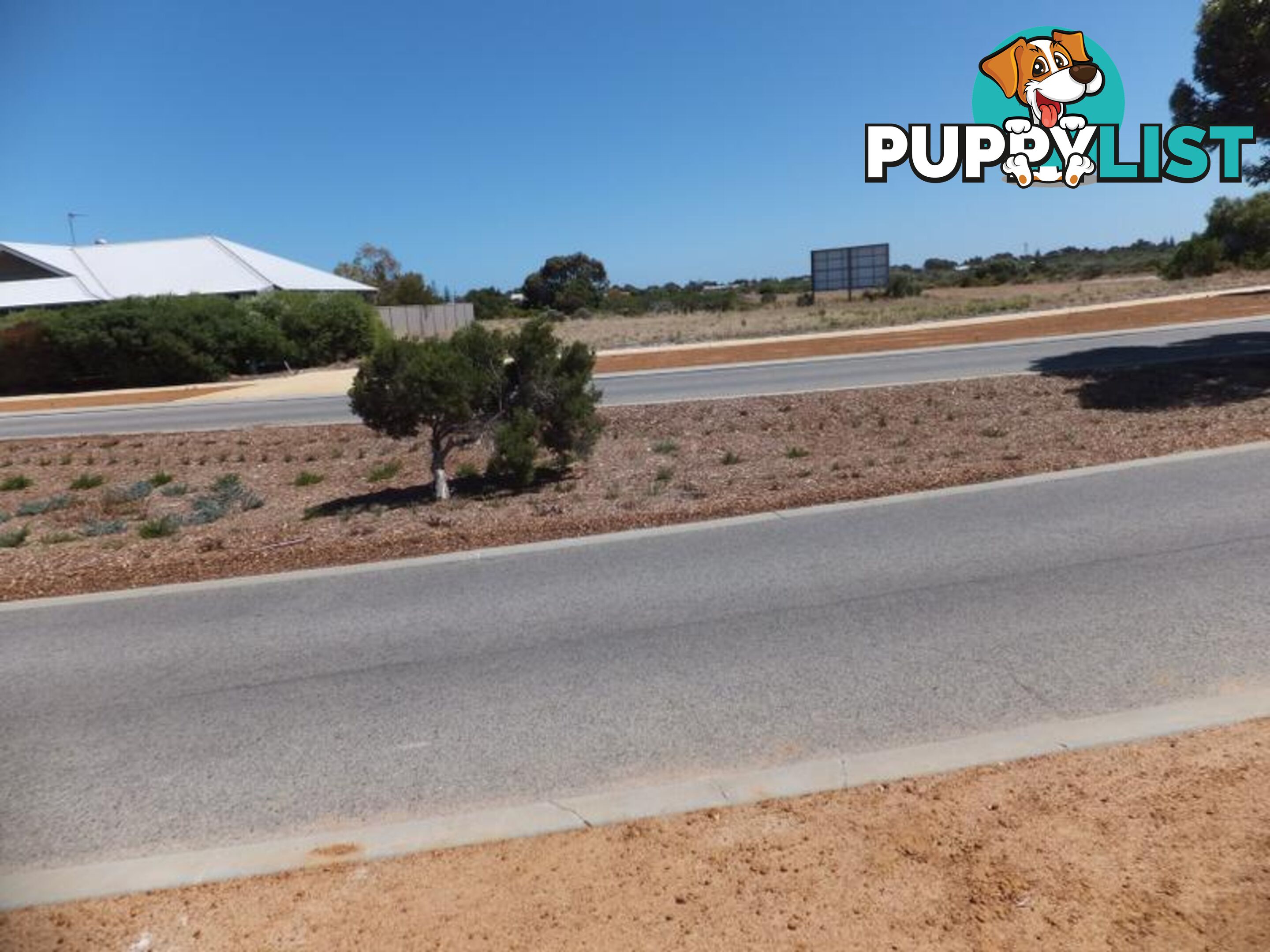 3 Dryandra Boulevard Jurien Bay WA 6516