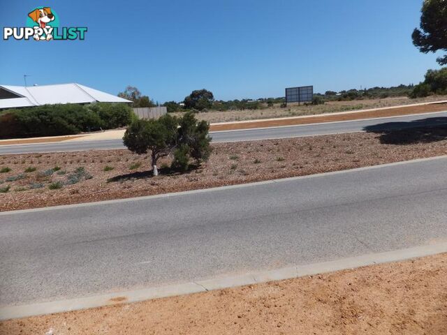 3 Dryandra Boulevard Jurien Bay WA 6516