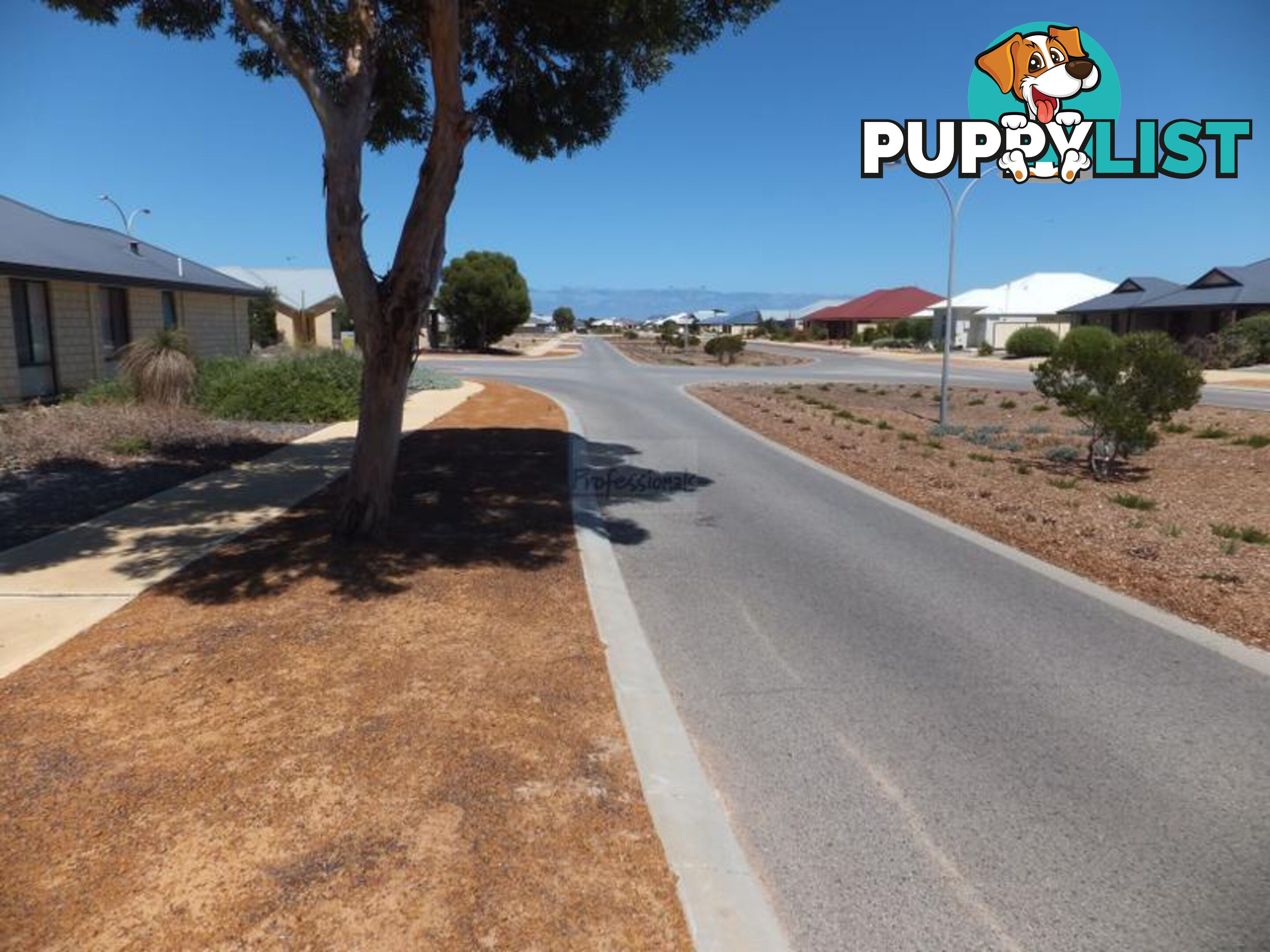 3 Dryandra Boulevard Jurien Bay WA 6516