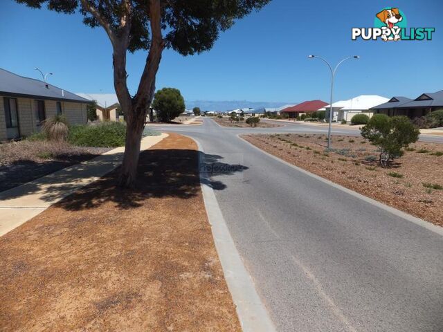 3 Dryandra Boulevard Jurien Bay WA 6516