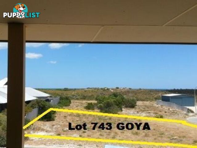 1 Goya Mews Cervantes WA 6511