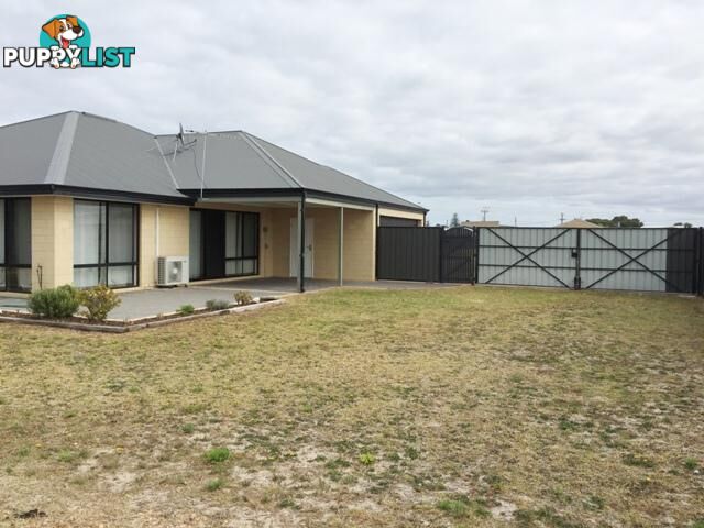 41 Dryandra Boulevard Jurien Bay WA 6516